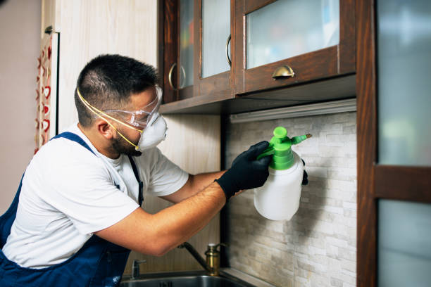 Best Bed Bug Extermination  in Metamora, IL