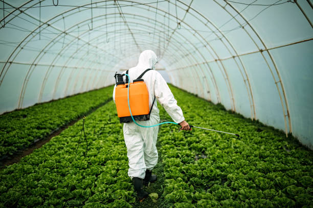 Best Insect Control  in Metamora, IL