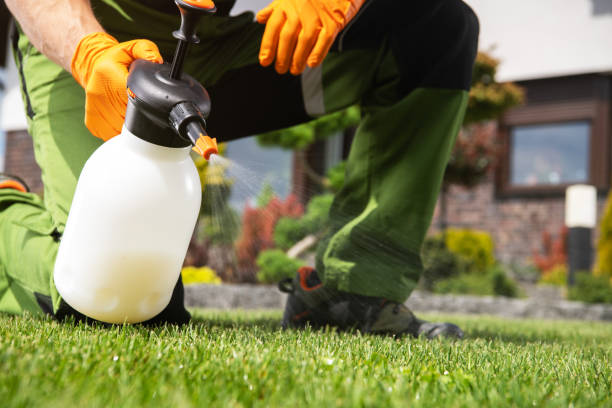 Best Exterminator Services  in Metamora, IL