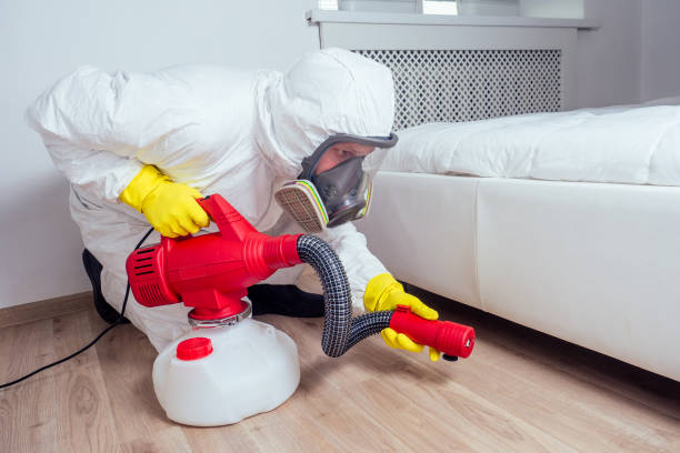 Best Termite Control Services  in Metamora, IL