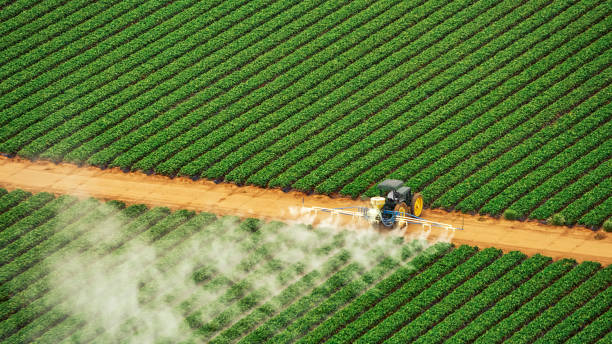 Best Commercial Pest Control Services  in Metamora, IL