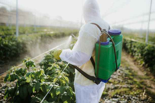 Best Best Pest Control Companies  in Metamora, IL